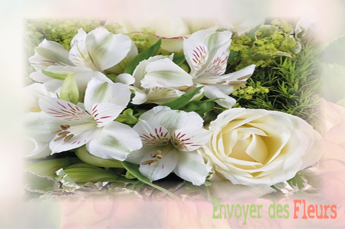 envoyer des fleurs à à VILLERS-OUTREAUX